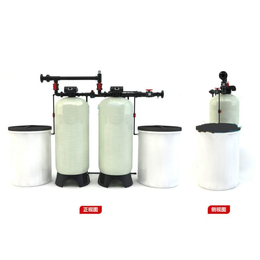钠离子交换器 锅炉软化水设备 软化水处理器