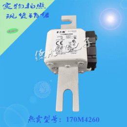 巴斯曼熔断器 170M2460 供应直售 欢迎选购