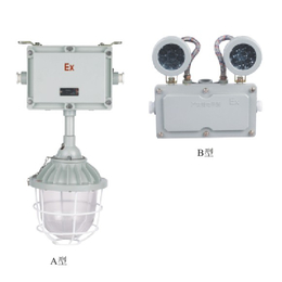 烟台防爆应急灯-安能达防爆电器-防爆应急灯规格