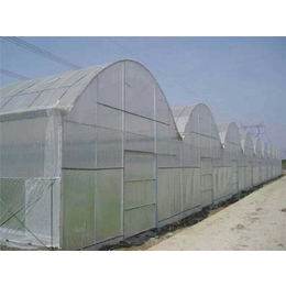 花卉温室建设-花卉温室-青州瀚洋农业