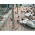 圈鸡铁丝网围栏(图)-哪里有卖养鸡铁丝网-永州养鸡铁丝网缩略图1