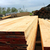 辐射松建筑木方-日照友联木材加工厂-辐射松建筑木方供应商缩略图1