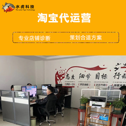 手机怎么开网店-沧州开网店-濮阳水虎网络公司