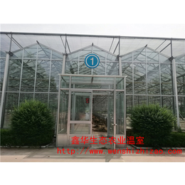 *新型玻璃大棚暖房 温室展览花卉大棚 批发承接温室工程
