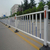 天津市政锌钢护栏道路护栏城市道路交通隔离栏黄金护栏缩略图2