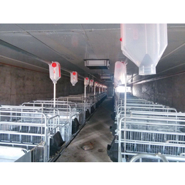 一体化自动化养猪料线 猪场*自动饲喂系统 自动养殖饲料塔