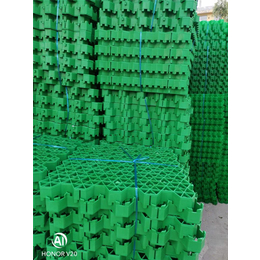 植草格生产厂家(图)-塑料植草格停车场-招远停车场植草格缩略图