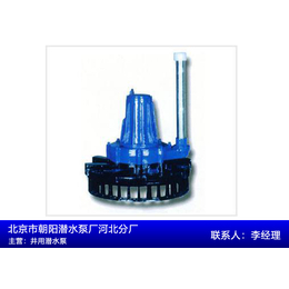 朝阳污水泵图片(图)-小型污水泵图片-北京小型污水泵