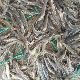 养殖-宏源垃圾分类柜厂家-观赏鱼养殖