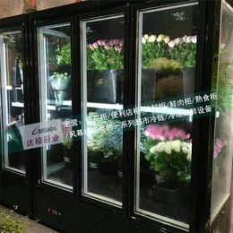 鲜花冷藏柜-达硕冷冻设备生产-鲜花冷藏柜批发