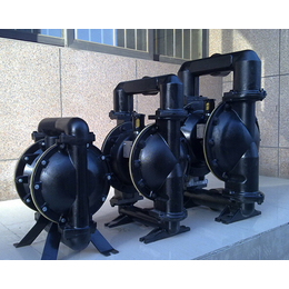 山西气动隔膜泵批发-山西气动隔膜泵-山西金龙安采科技公司