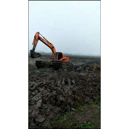 浙江地区船挖机出租可在河道里正常清理淤泥又叫河道清淤挖掘机