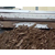 安徽合肥洗砂场泥水处理絮凝剂缩略图3