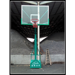 单臂篮球架-湘奥体育(在线咨询)-贵州篮球
