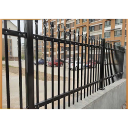 揭阳铁艺护栏图片大全 锌钢围栏安装视频 围墙栏杆标高