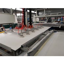 新锐塑机-南京PVC结皮发泡板生产线