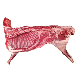 孜然羊肉-明欣餐饮(在线咨询)-天津羊肉