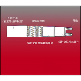 自限温电伴热带-亚泰龙热控科技公司-自限温电伴热带型号