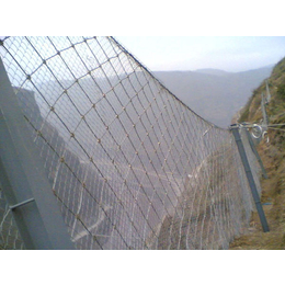 边坡防护网图片-久高(在线咨询)-赣州边坡防护网