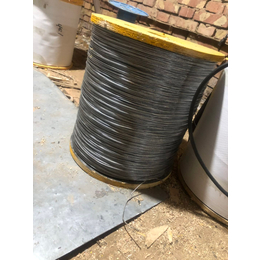 工地使用镀锌涂塑钢丝绳 不锈钢钢丝绳出厂价格