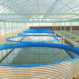 福建高密度养殖池大型户外养鱼 圆形镀锌板支架帆布水池蓄水池