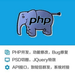 PHP网站程序网页代码修改漏洞源码定制程序开发缩略图