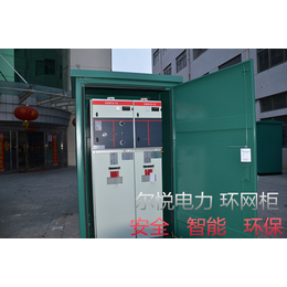 请查看sf6环网柜机构推荐XGN-24充气柜定制说明