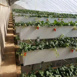草莓栽培槽 立体种植槽 草莓立体栽培架 英耐尔