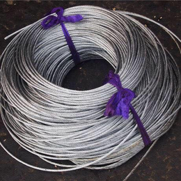 不锈钢钢丝绳 30不锈钢钢丝绳养殖棚*