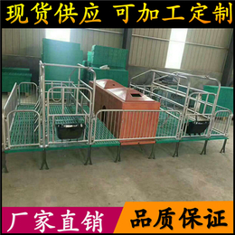 泊头养猪设备誉发畜牧厂家*双体产床母猪产床单体产床定位栏