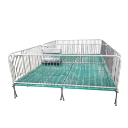 誉发畜牧双体保育床食槽小猪保育栏猪用设备复合保育床缩略图