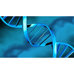 在潮州DNA亲子鉴定有哪些准确率高的竟是