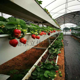 栽培槽 草莓立体栽培槽 叶菜类水培槽 英耐尔缩略图