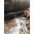 苏州园区湖东主营管道漏水检测与维修消防管缩略图1