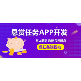 趣闲赚猪八赚米赚拼任务悬赏汪APP开发