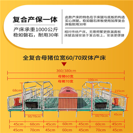 厂家供应现货双体母猪产床复合式产床定位栏养殖设备