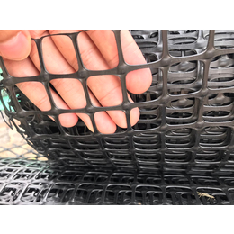 拓林现货供应小孔网养鸡养鸭网户外防护网围栏网塑料土工格栅