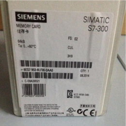 SIMATIC S7MMC卡6ES79538LF310AA0