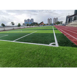 藤县中学足球场人造草坪应用越来越广泛