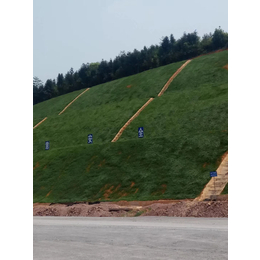 重庆绿色矿山治理喷播绿化土壤粘合剂