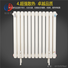 gz2-600钢二柱散热器暖气片优缺点