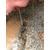 查漏水管道漏水检测消防管自来水管查漏测漏缩略图3