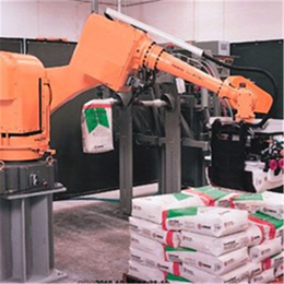 工业自动化关节型6轴 上下料机器人 厂家搬运机器人