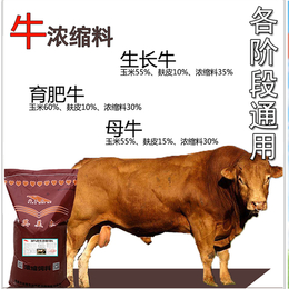 四川地区养牛饲料肉牛预混料配方表