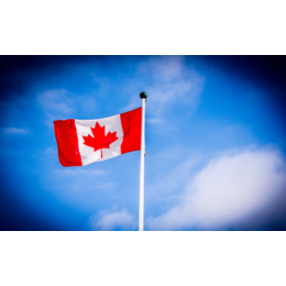 加拿大IIROC牌照牌照怎么申请