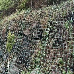 湖州绿色植物攀爬网爬藤网山体铁丝挂网绿色钢塑土工格栅