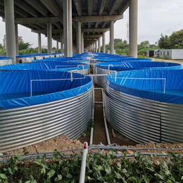 高密度水产养殖池 铁桶支架镀锌板水池 养虾圆形帆布鱼池