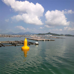 1.5米航道施工警戒塑料浮标详细产品参数