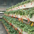 供应杨凌草莓棚种植架管理方便增产增效缩略图2