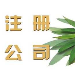 武汉东高注册公司-各种及专项审批-注销